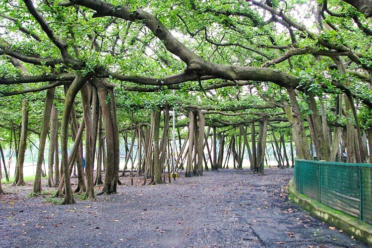 Places To Visit In Kolkata In One Day