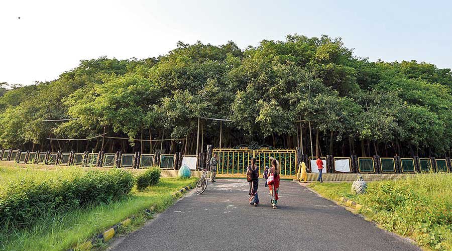 Botanical Garden Kolkata 